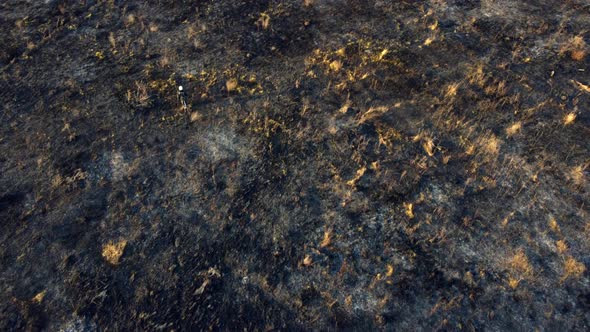 Firefighter Walking Across Scorched Field of Black Ash