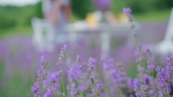 Woman Drinking Coffee in Lavender Field