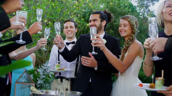 Guests, bride and groom toasting champagne flutes 4K 4k