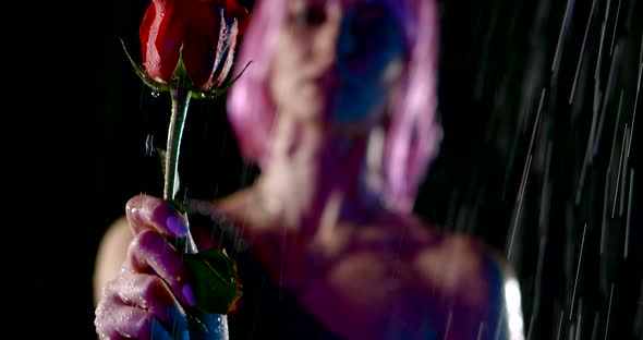 Close-up of a Red Long Rose in the Dark in the Rain. in the Background a Woman with Pink Hair Is