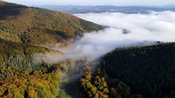 Aerial View of Autumn Carpathian Mountains Above the Clouds