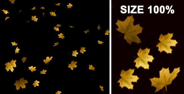 Flying Leaves(LOOP 60 FPS) alt