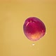 Peach Falls Into Water - VideoHive Item for Sale
