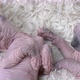 Two Kittens Canadian Sphynx Cat Breed Playing on White Background - VideoHive Item for Sale