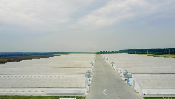 Poultry Farm Buildings. Aerial view over big poultry agricultural farm