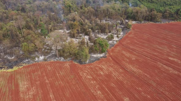 Deforestation for crops and burned down forest area in Brazil's Cerrado, aerial view