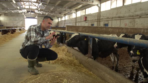 Modern livestock farm and modern farmer.