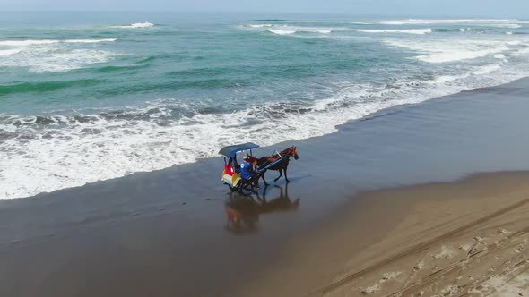 Horse carriage riding on Parangtritis beach, Yogyakarta, Indonesia, aerial