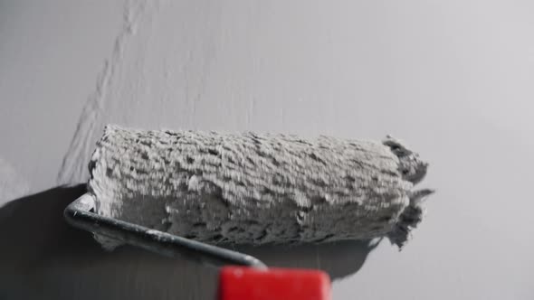 Builder Paints Wall Roller View