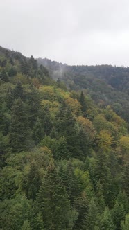 Carpathian Mountains