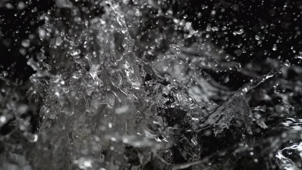 Throwing enoki mushroom into water. Slow Motion.