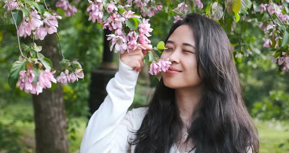 Beautiful Asian Woman is Smelling Pink Flowers on Sakura or Apple Tree