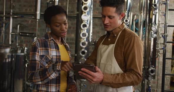 Diverse male and female colleague at gin distillery using tablet, talking and smiling