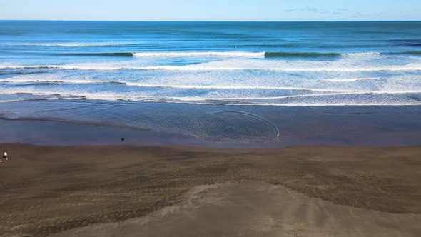 Aerial view of black sand beach in Piha, New Zealand