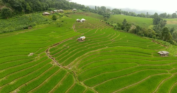 Rice field terrace on mountain agriculture land.