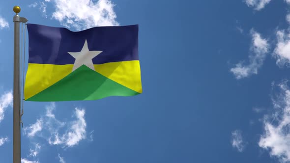 Rondonia Flag (Brazil) On Flagpole