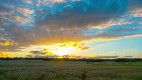 Wildflowers and sunset, time-lapse