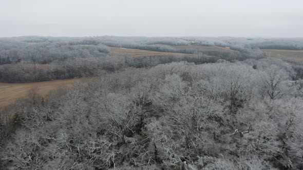 Aerial flying over frosted trees in wintery farmland