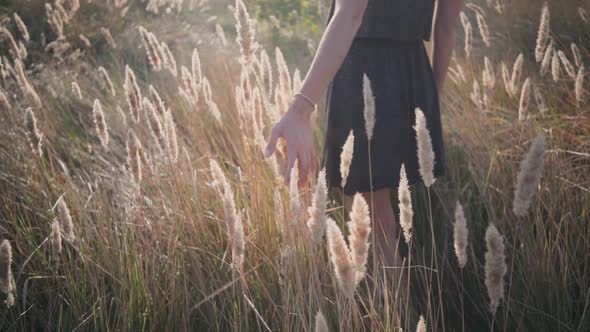 Beautiful Young Woman in the Field with Flowers and Spikelets