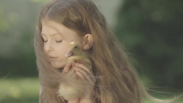 Close-up Face of Pretty Little Girl Hugging Duck on Sunny Windy Day. Portrait of Cute Brunette