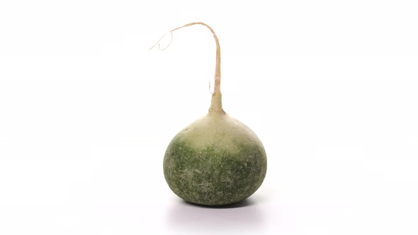 One Fresh Green Turnip Is Spinning on White Background