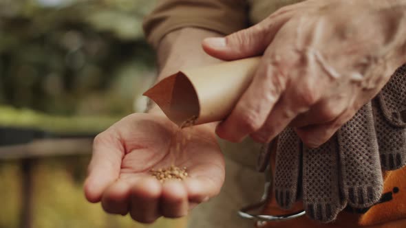 Hands of Male Farmer Pouring Seeds into Palm and Checking Them