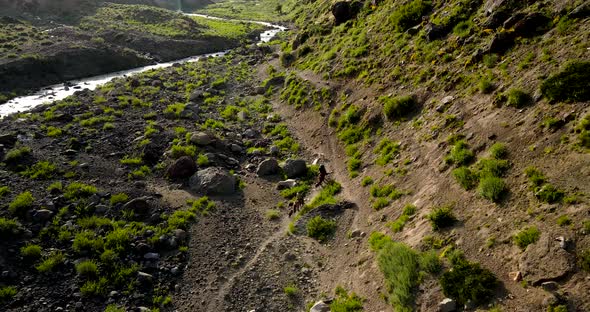 Aerial view of a crane shot of two men on horseback being followed by their dogs kicking up dust in