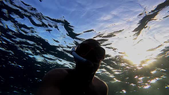 Video Diver Dives in the Red Sea Egypt