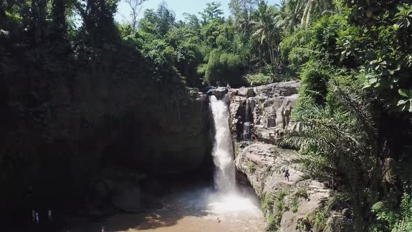 Waterfall in green rainforest. Aerial view of beautiful waterfall  in the mountain jungle. Bali,Indo