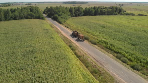 Logging Truck Drives Along a Narrow Country Road From the Deforestation Site To the Processing Plant