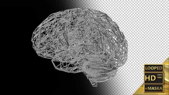 Computer Model of the Human Brain