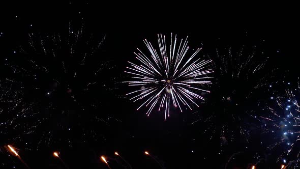 Colorful Fireworks Exploding in the Night Sky