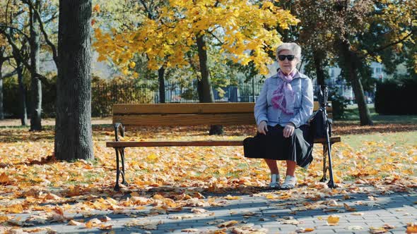 Grandmother Sitting on Bench in a Beautiful Autumn Park