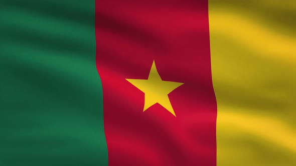 Cameroon Windy Flag Background 4K