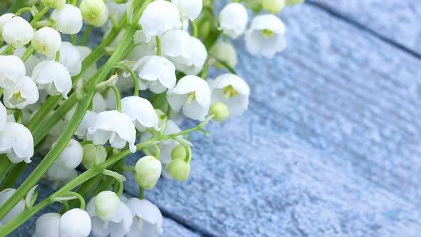 Small Fragile Fragrant White Spring Flowers of Lily of the Valley As a Bouquet Lie on a Wooden Light