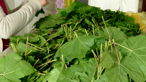 Stuffed Vine Leaves