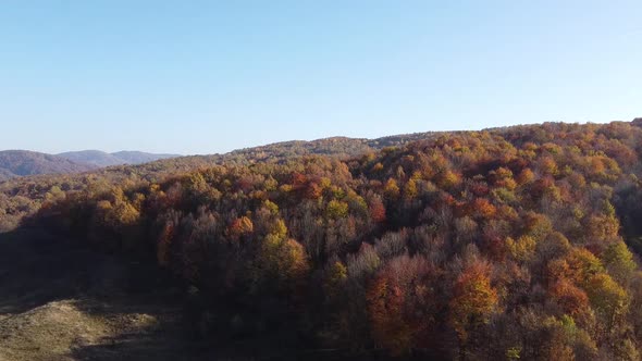 Aerial view of hills on autumn season. Fall colors of a forest in Autumn Season