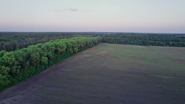 Sunset Aerial View of Rural Life Scene