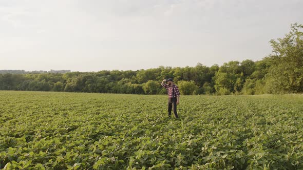 Portrait of Farmer Man with Beard Looking on His Field