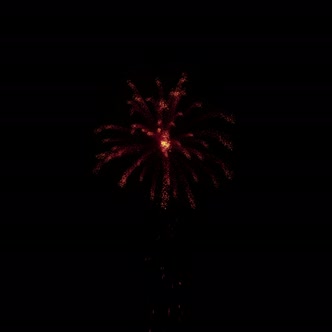 Fireworks 28