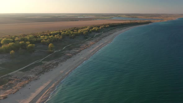 Top view of empty endless wild beach