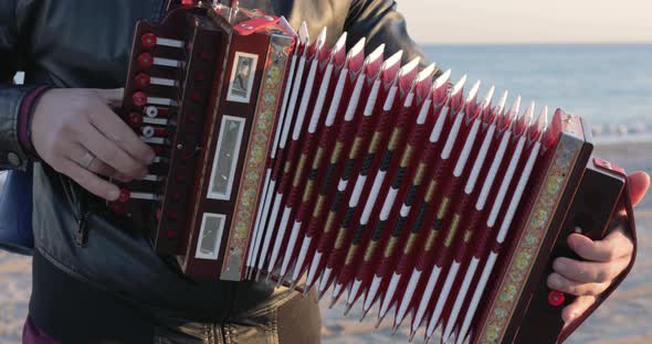 Close up of accordion 