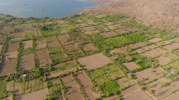 Agricultural Land in Indonesia