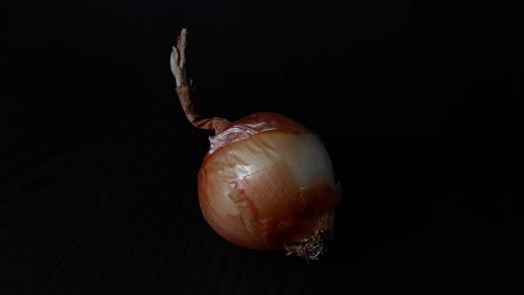 Onion scaling 4K black background