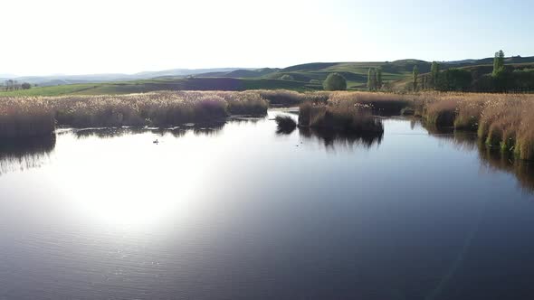 Aerial View Of Nature And Reeds Covered Lake