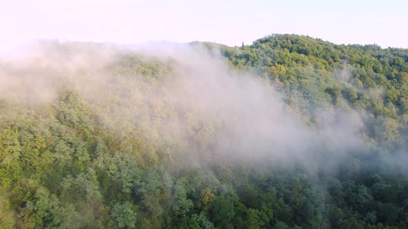 Foggy Mountain Forest Aerial
