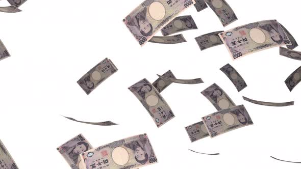 5000 Japanese Yen bills falling down. Banknotes isolated on white background.