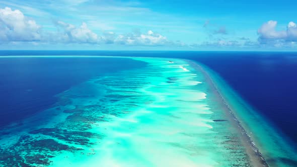 Aerial drone shot seascape of tranquil sea view beach wildlife by clear ocean and clean sandy backgr