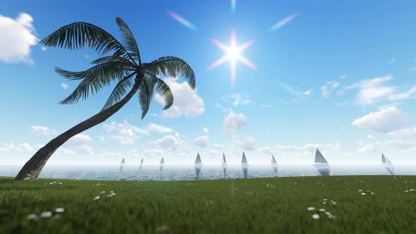 Palm Tree And Boats alt