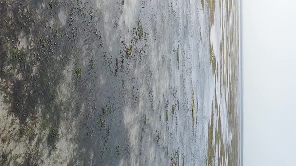 Vertical Video of Low Tide in the Ocean Near the Coast of Zanzibar Tanzania Aerial View